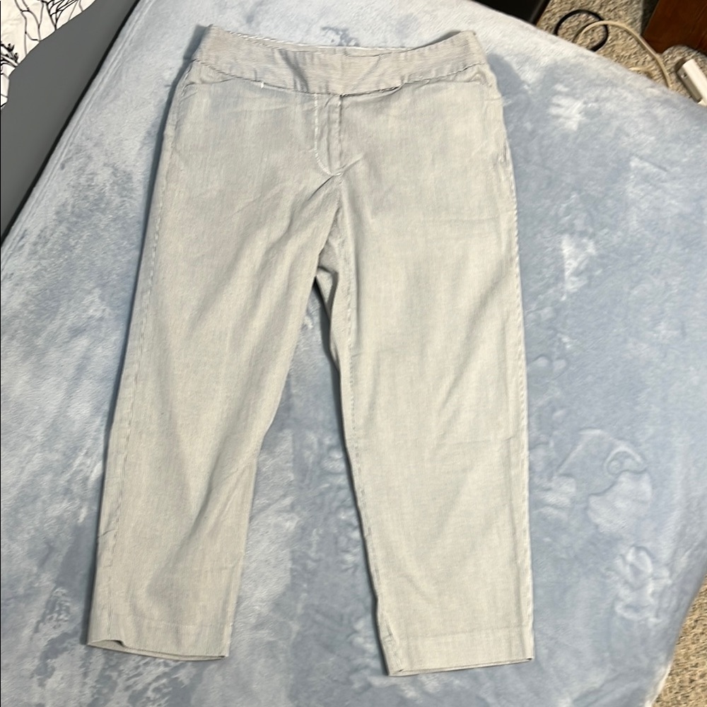 Ann Taylor Capri Pants